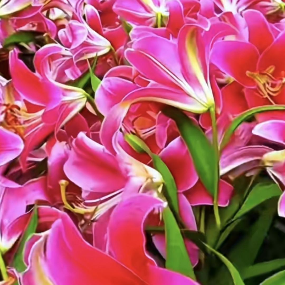 💫徽笑💫释怀💫