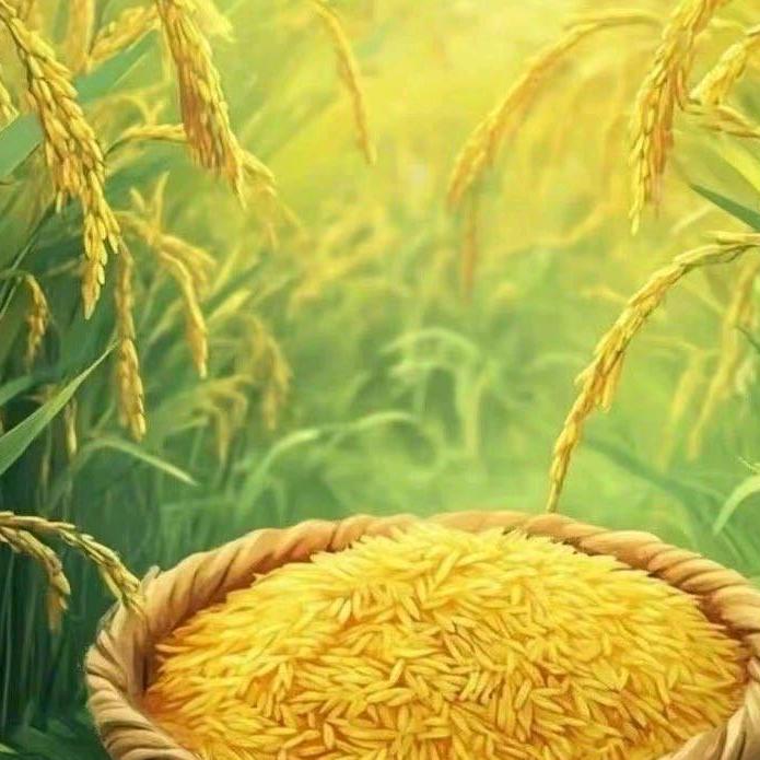 北球倘服装百货商行