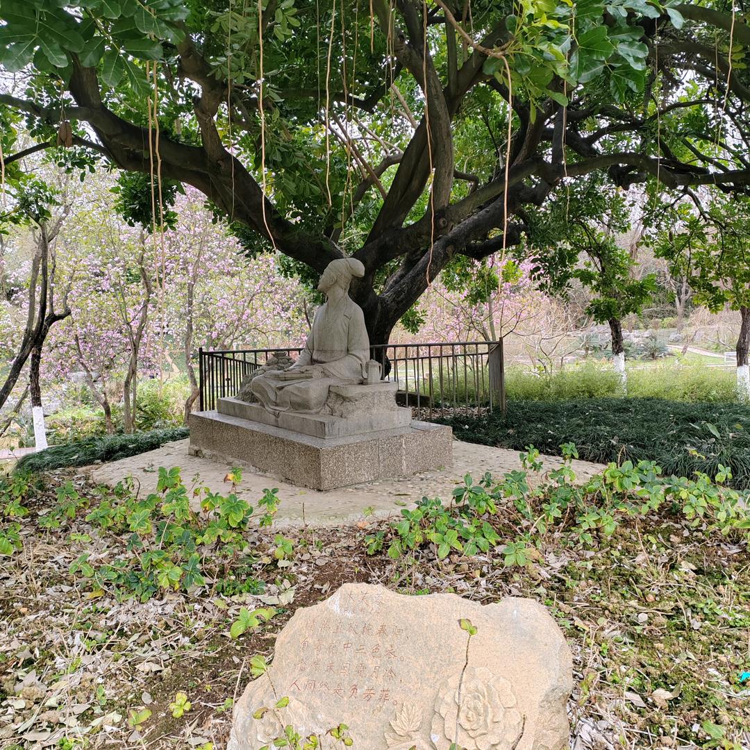 山东小贺专业挖山药团队