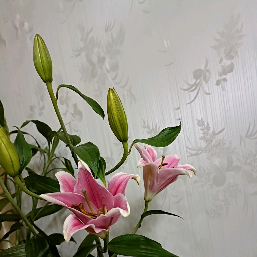 谢姐