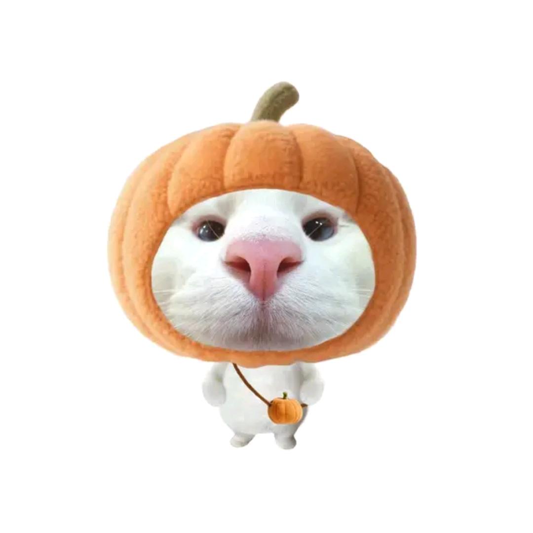 ꉂꉂ꒰•̤▿•̤*ૢ꒱