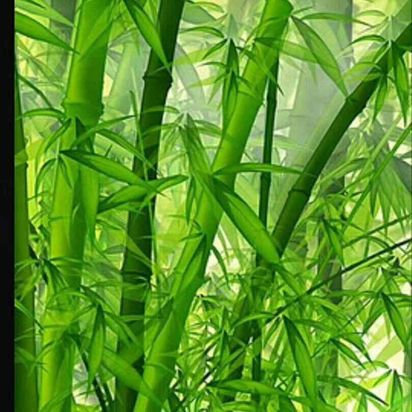下一步