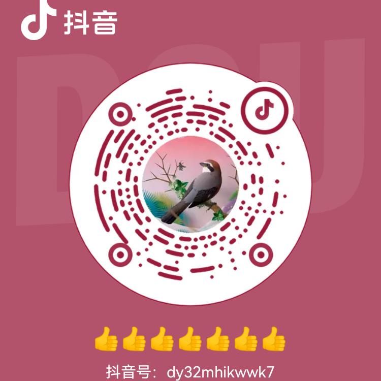 梦想成真。
