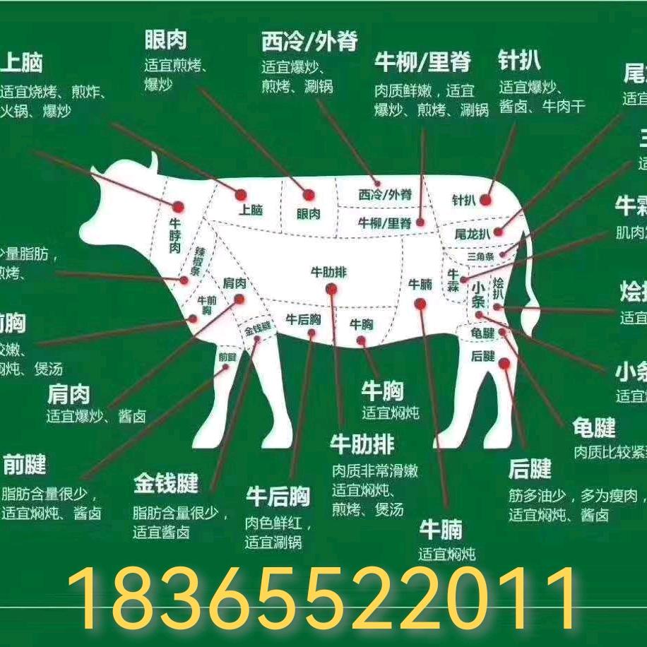 单王乡张湾村董台生态牛肉