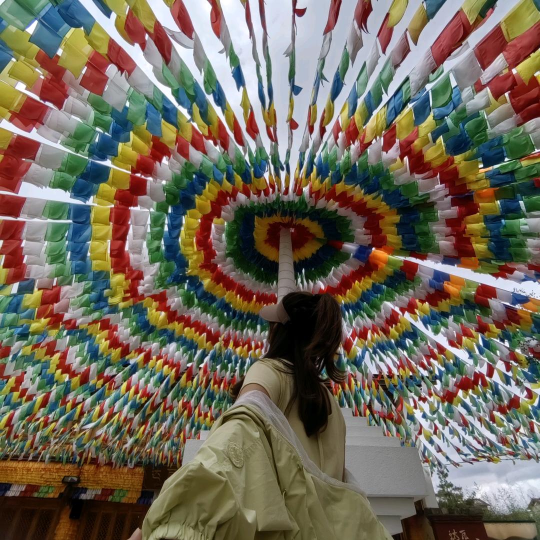 小马儿
