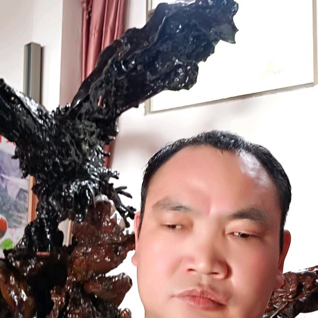 年年开心