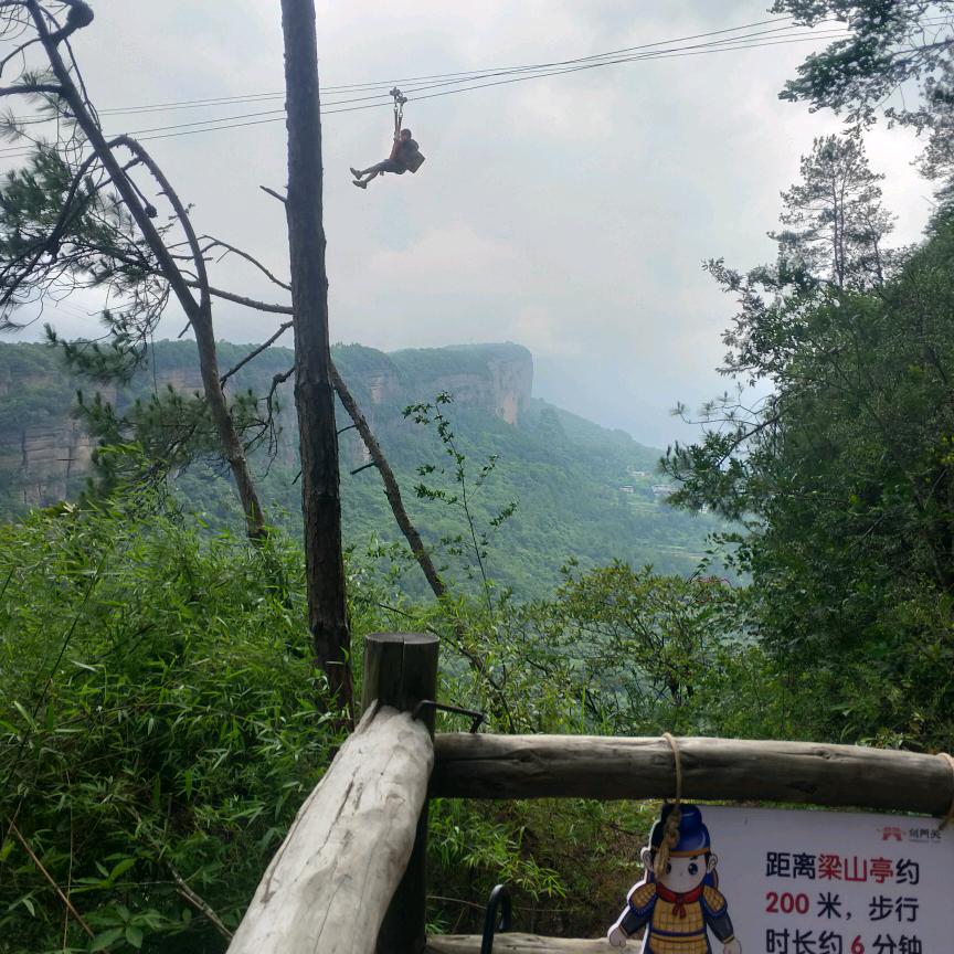 春天的雨