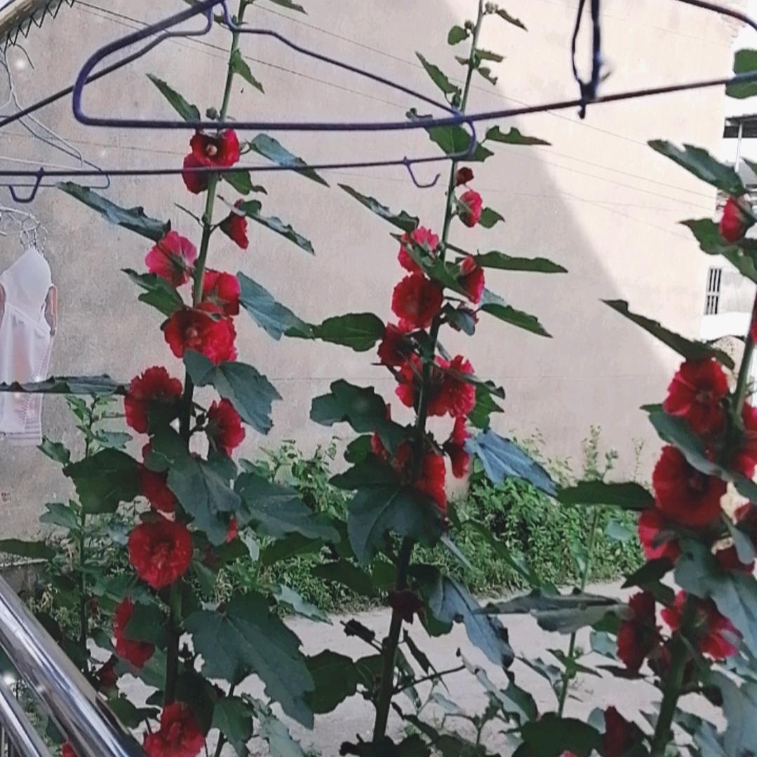 1红事白事一条龙服务