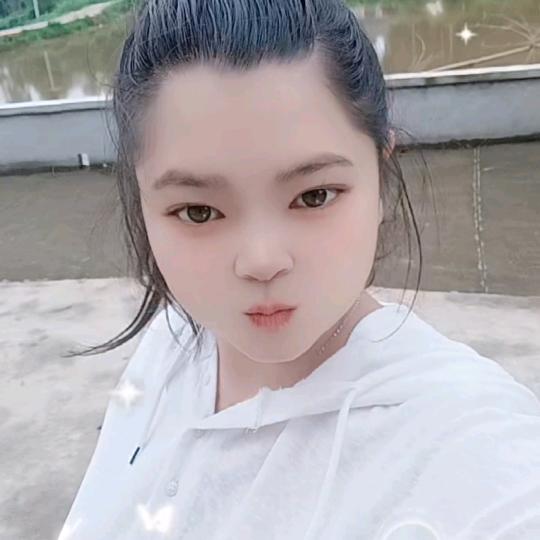小蜜蜂
