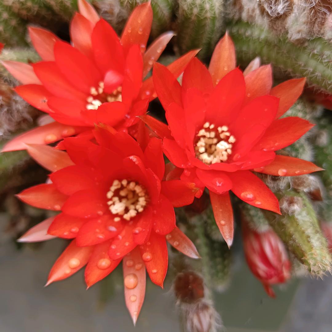 人活一辈子，真的很累