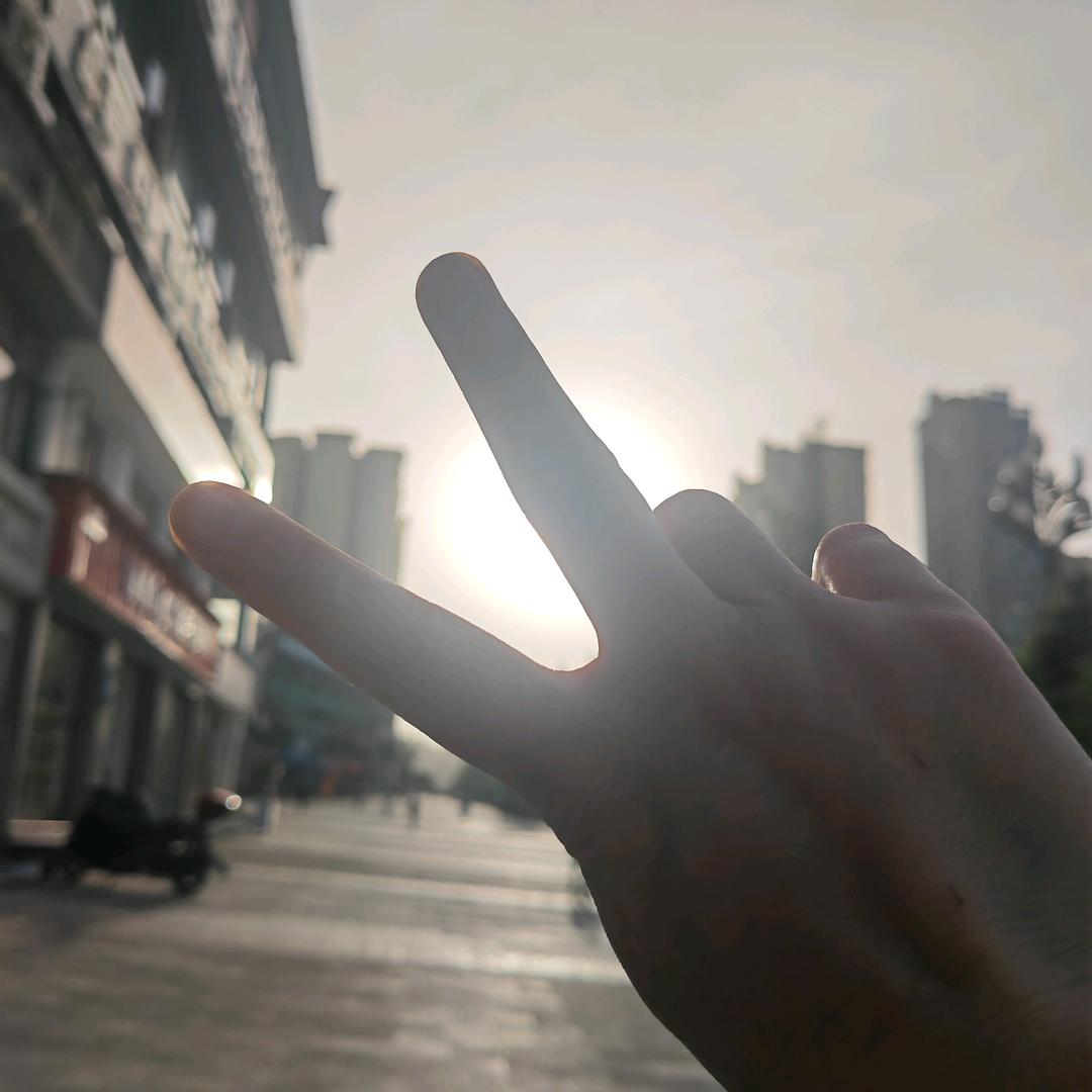 力木龙