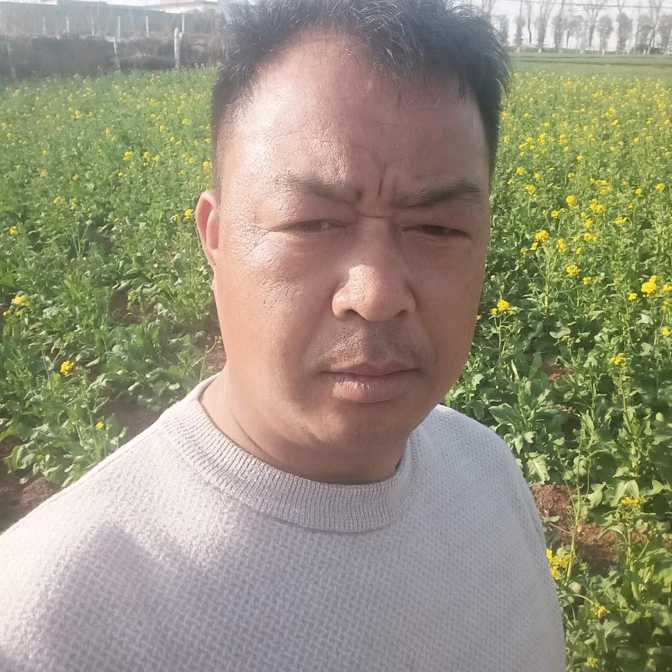 人生没有下辈子