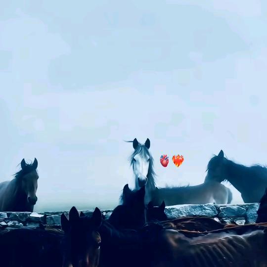 💕❤️‍🔥🦋