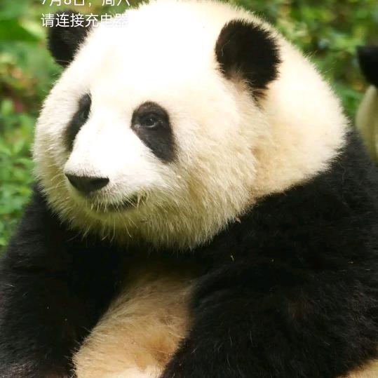 麦喀什