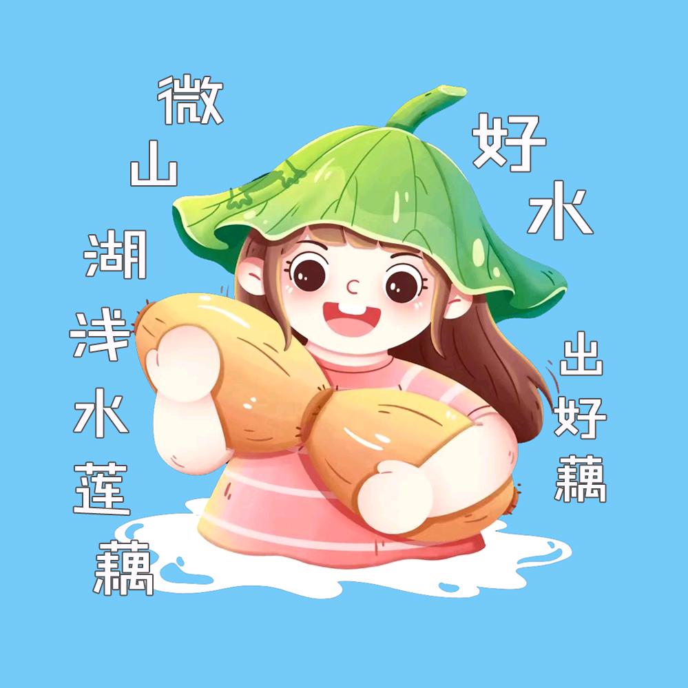 微山湖淡水莲藕