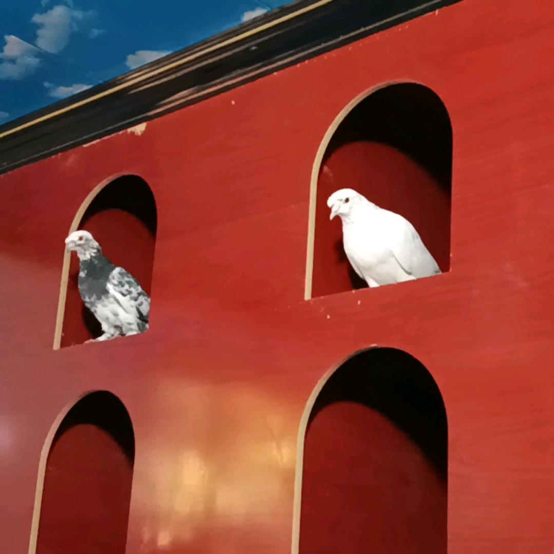 新疆疏附县翻翻爱好者