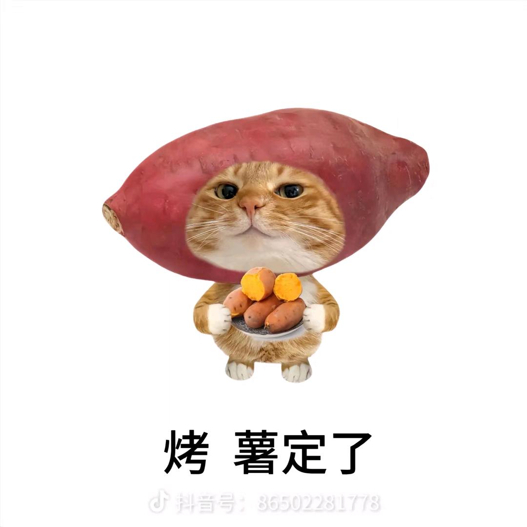 嫂子是胖猫老公