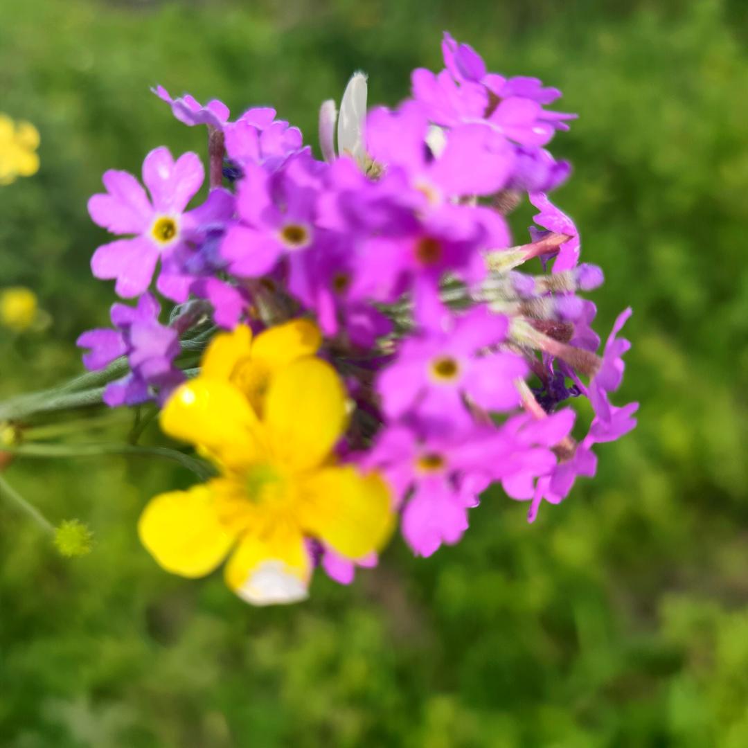 咖啡不懂酒的醉❤️