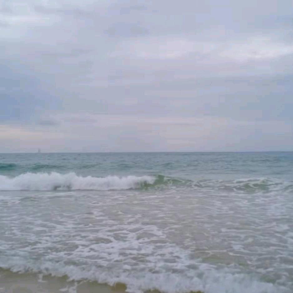 南洋胡氏全屋定制闫芳