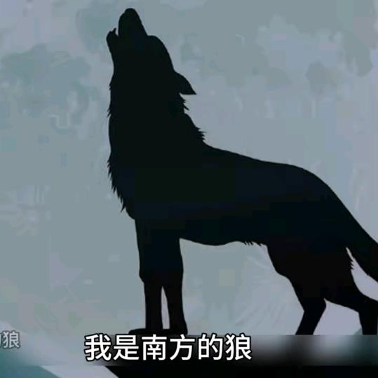 🇱🇰异想天开