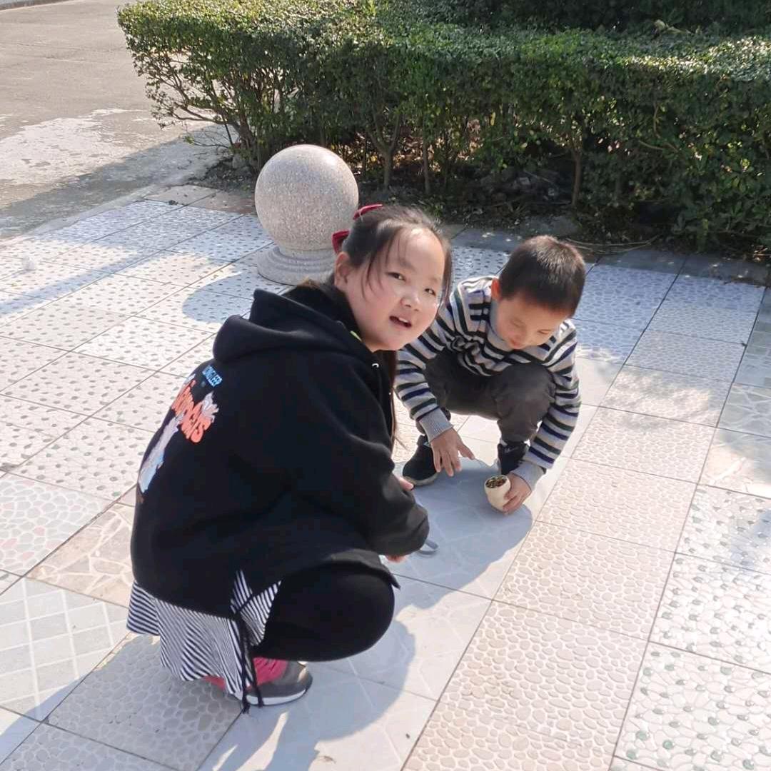 王姐跨区作业收割机