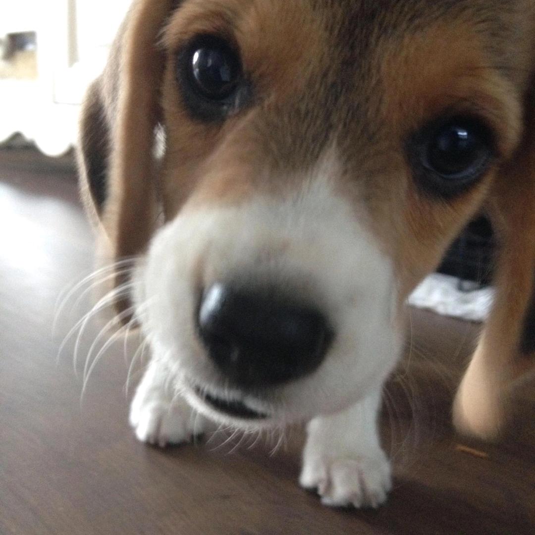 钱对我来说很重要