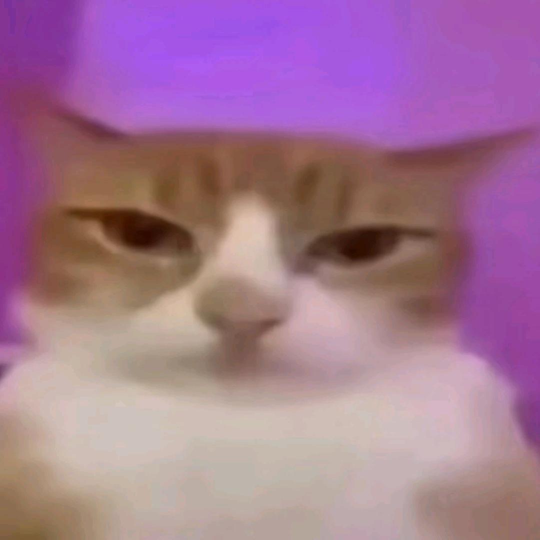 八十岁摇滚辣妹