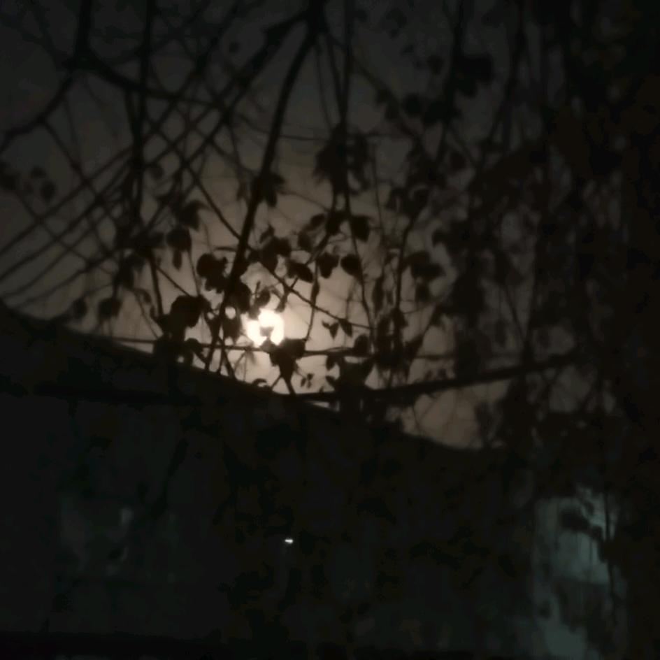 空白