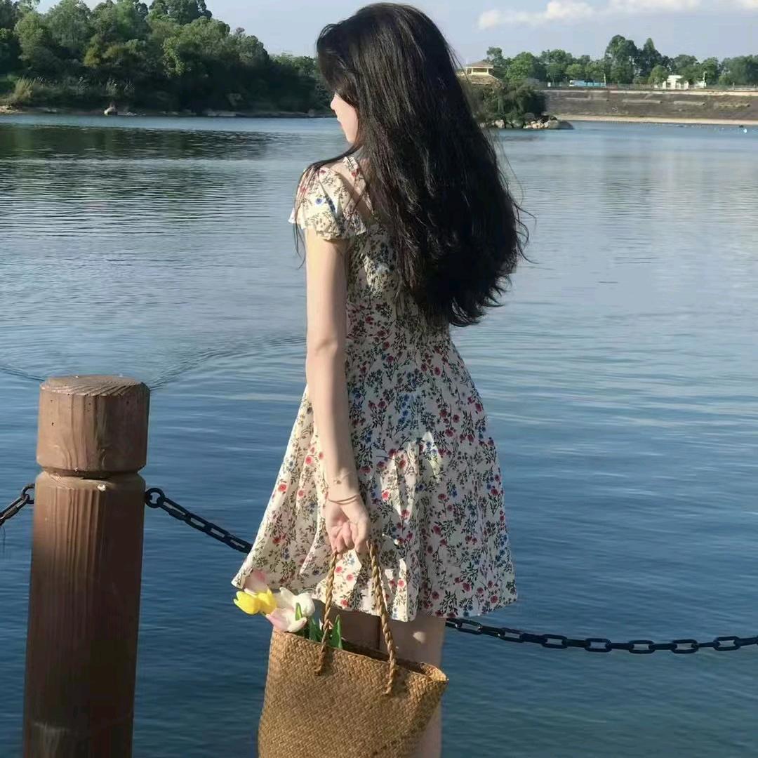 小雅