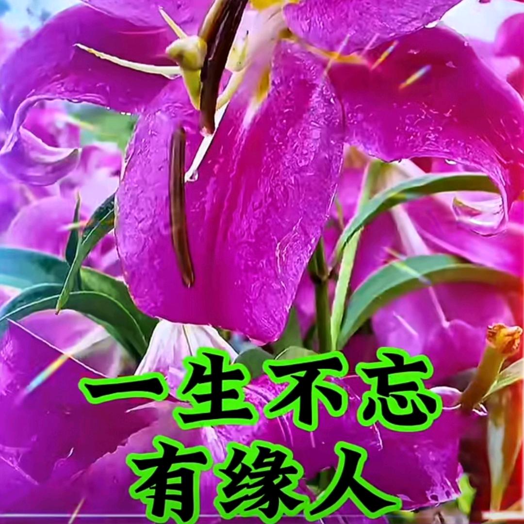 🕵‍♀️一生有你👭