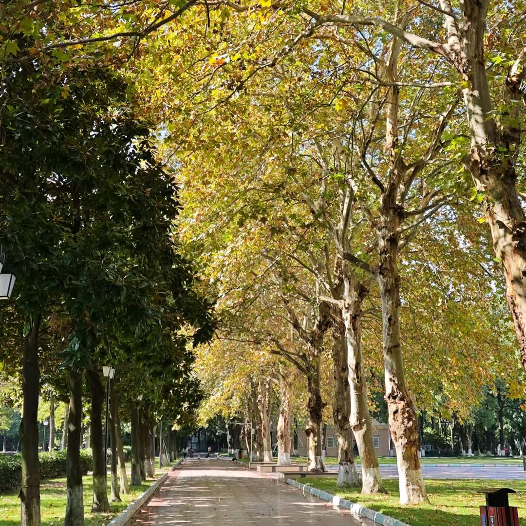 对方正在输入...