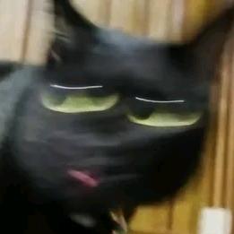 银河