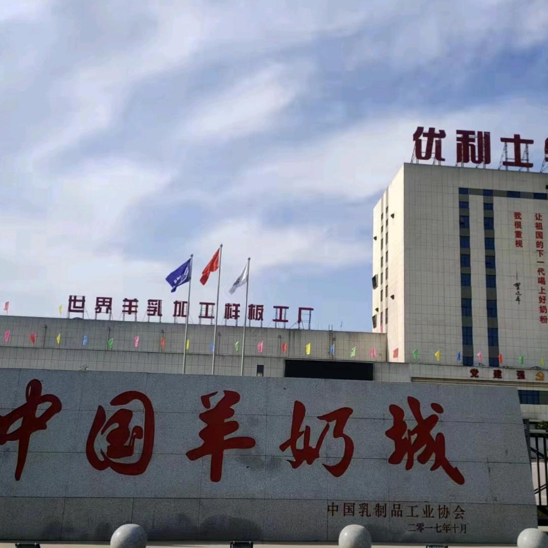 小马→_→奶粉批发↹