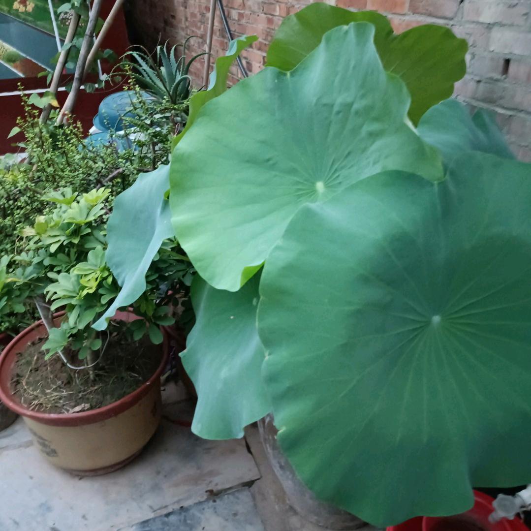 专业防水战队