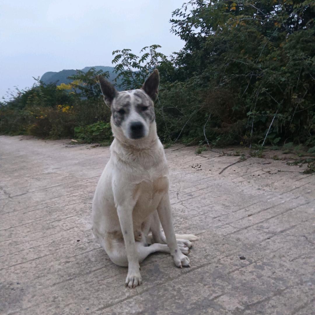 传奇优选