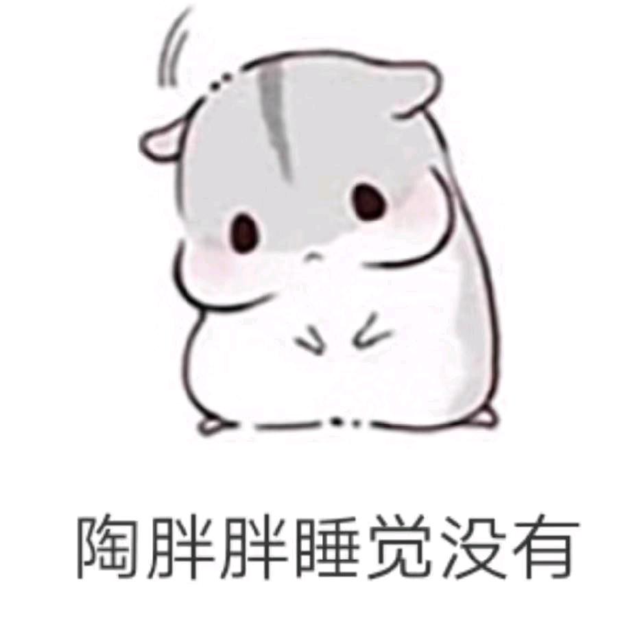 陶胖胖