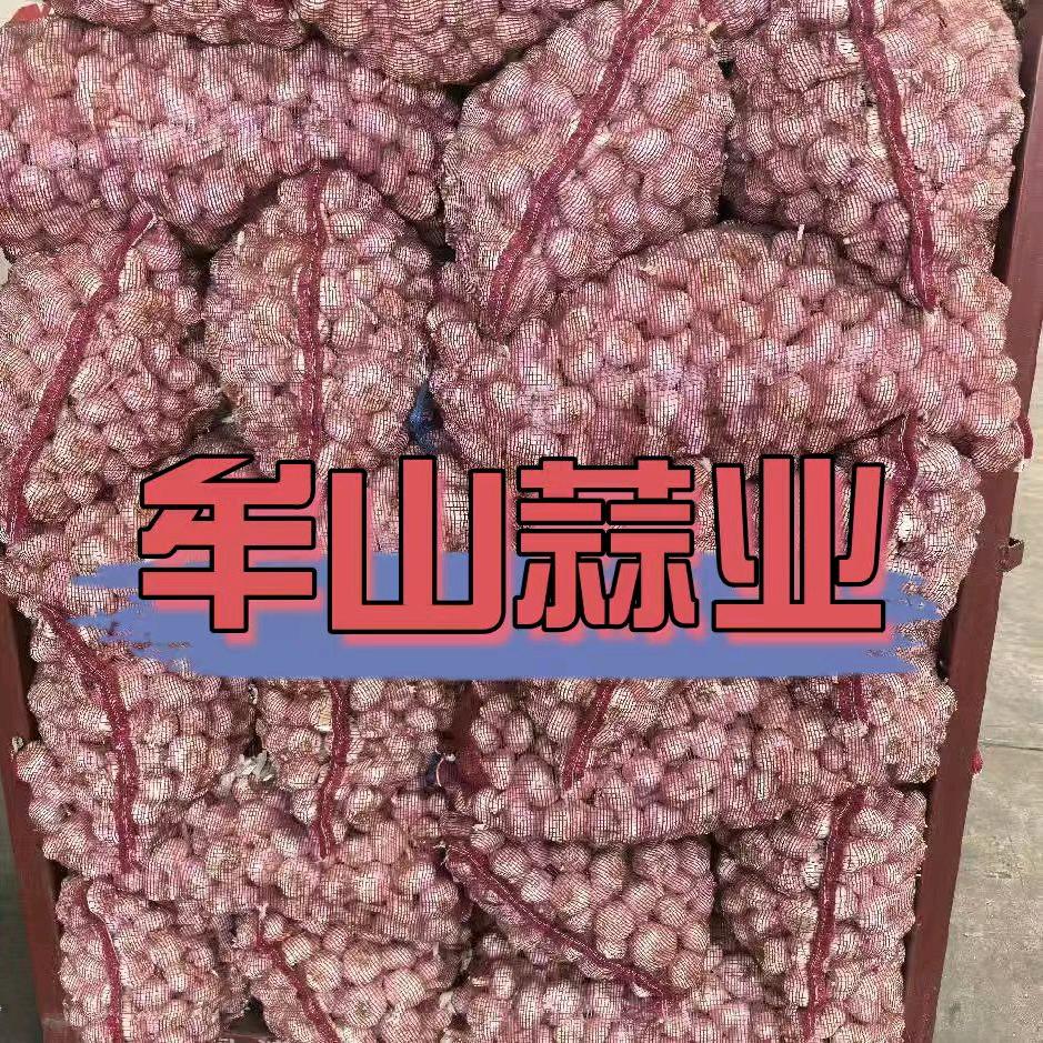 河南牟山蒜业，王军伟