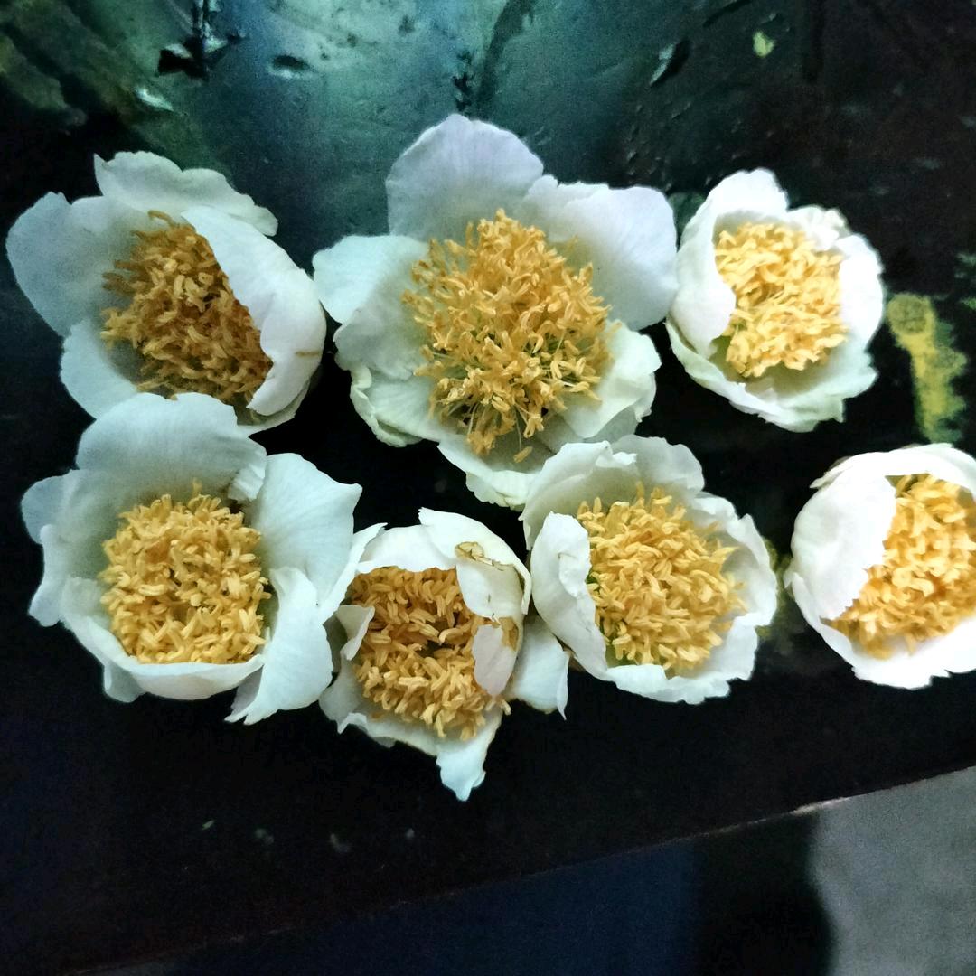 何老三