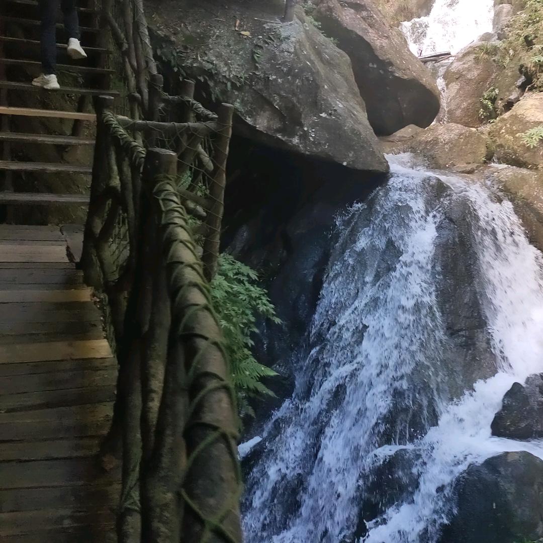 小芳