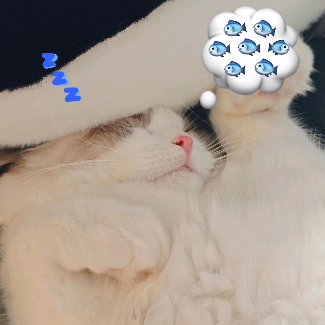 云水