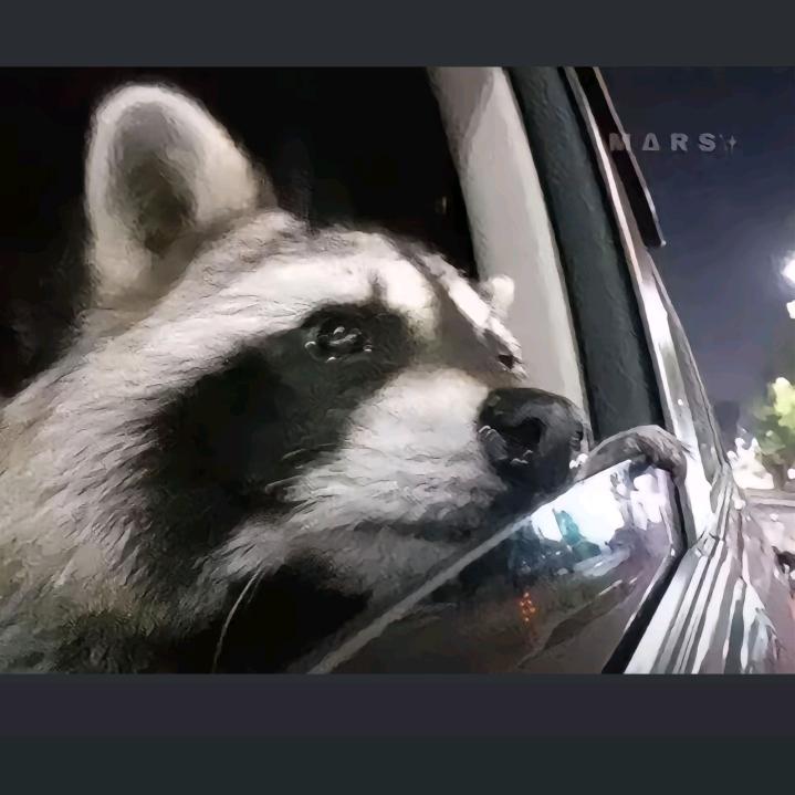 财务资料批发