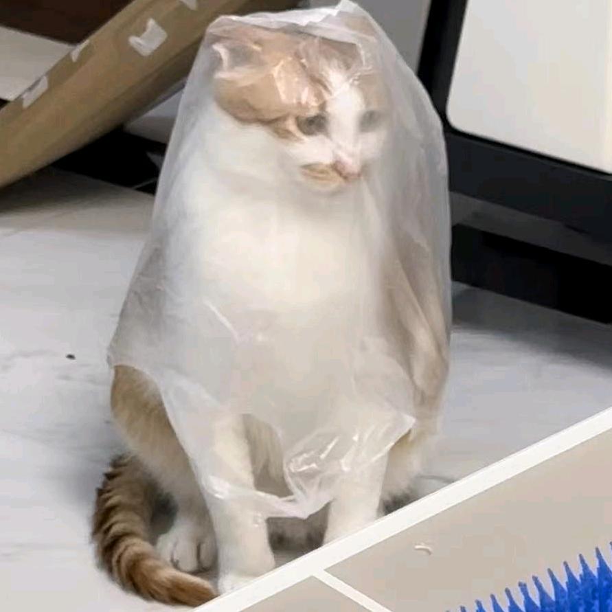 别怕，不是好人