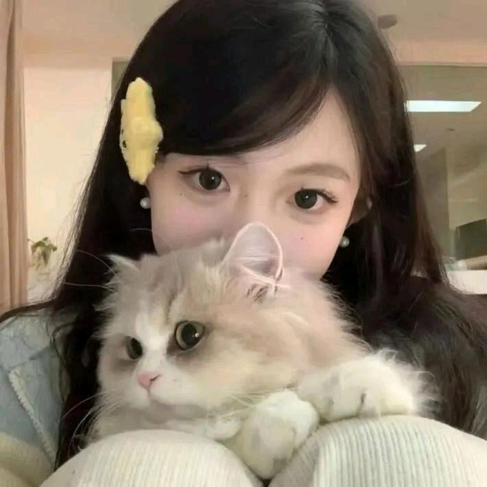 猫猫小分队