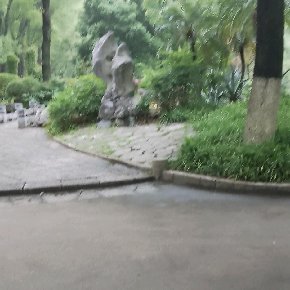 🌈叶子