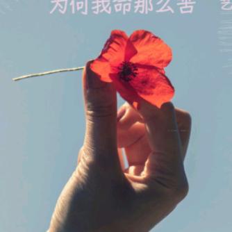 ❤️情难杜❤️