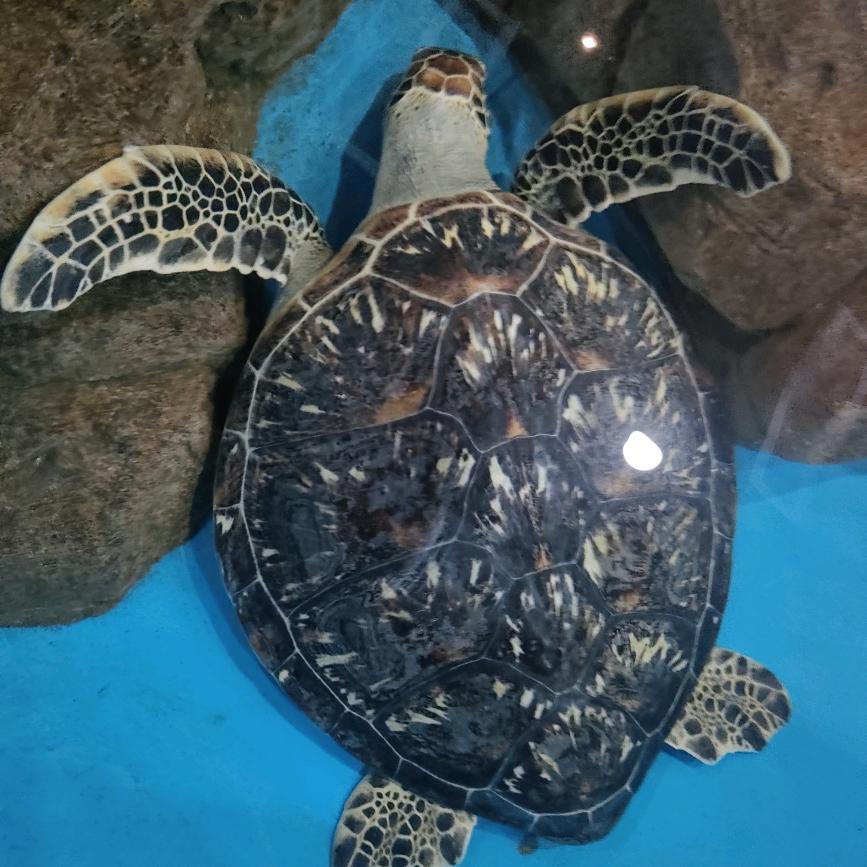 ✺◟(∗❛ัᴗ❛ั∗)◞✺㿝卄想念㣻罖