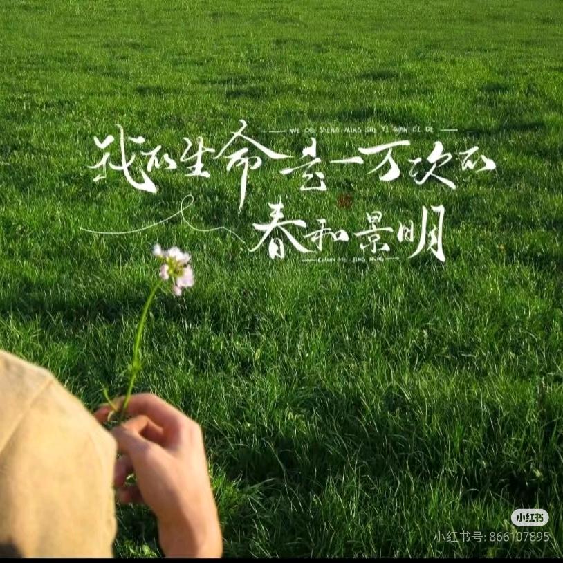 翻斗花园胡图图