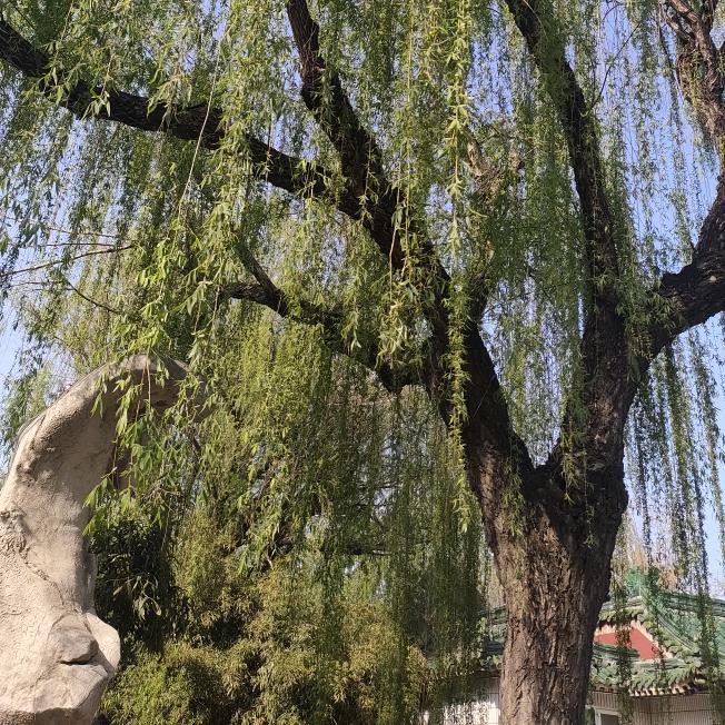 @80后（涨粉互关中）