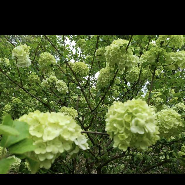 忘🍀