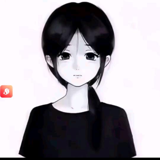 听竹坞商贸行爆爆